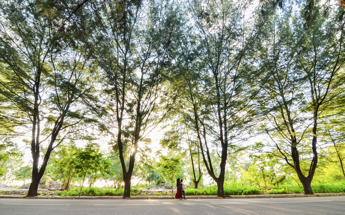 胡魯馬累島的林蔭大道—杜才良.jpg